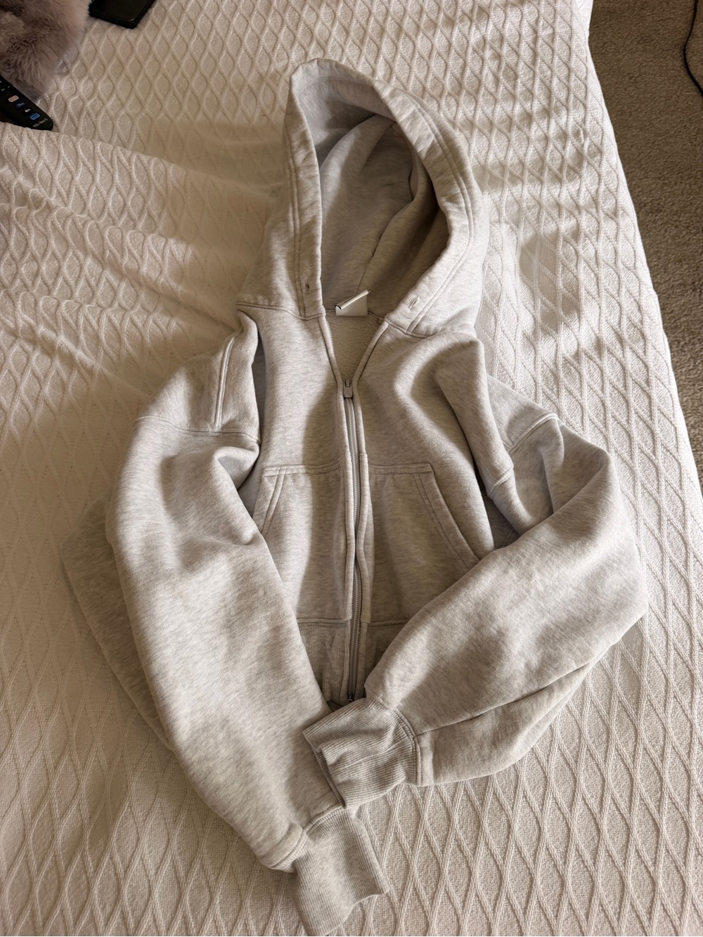 Aritzia boyfriend fit hoodie